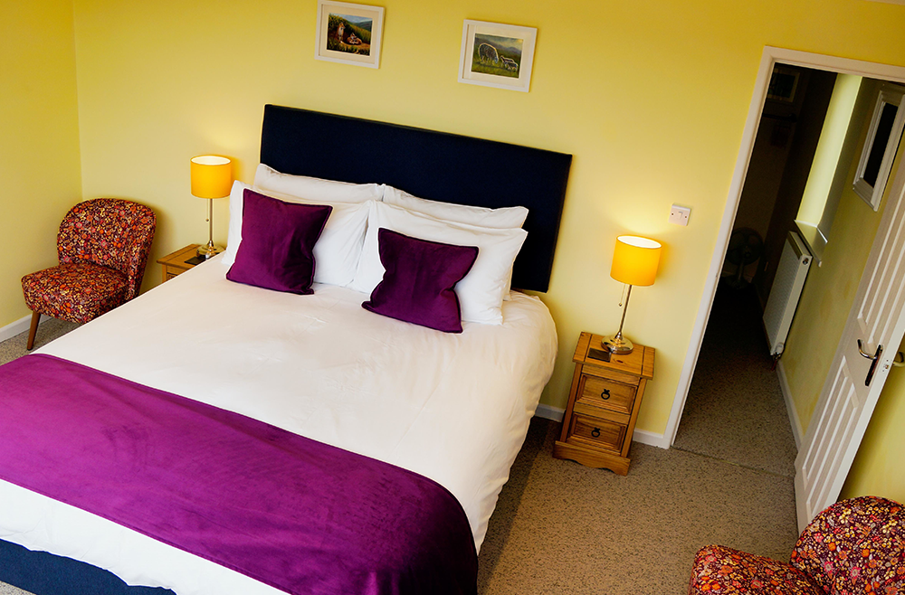 the rooms the rooms